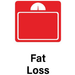 fat-loss-alt