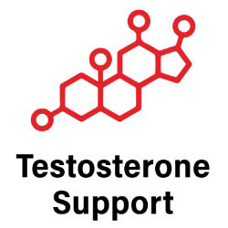 testosterone-support